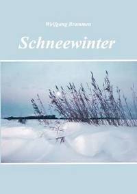 bokomslag Schneewinter