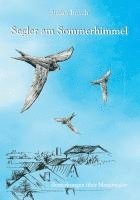 Segler am Sommerhimmel