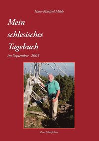 bokomslag Mein schlesisches Tagebuch