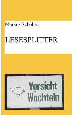 Lesesplitter 1