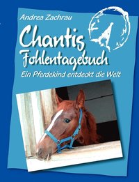 bokomslag Chantis Fohlentagebuch