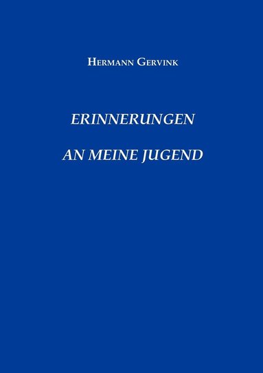 bokomslag Erinnerungen an meine Jugend