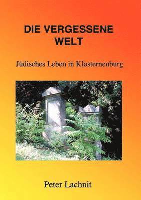 Peter Lachnit - vergessene Welt, Häftad