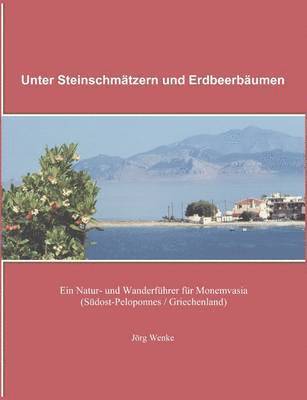 bokomslag Unter Steinschmtzern und Erdbeerbumen