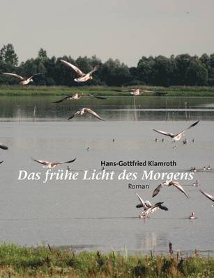 bokomslag Das frhe Licht des Morgens