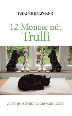 bokomslag 12 Monate mit Trulli