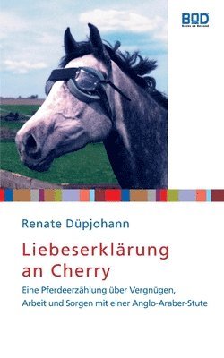 Renate Düpjohann - Liebeserklärung an Cherry, Häftad