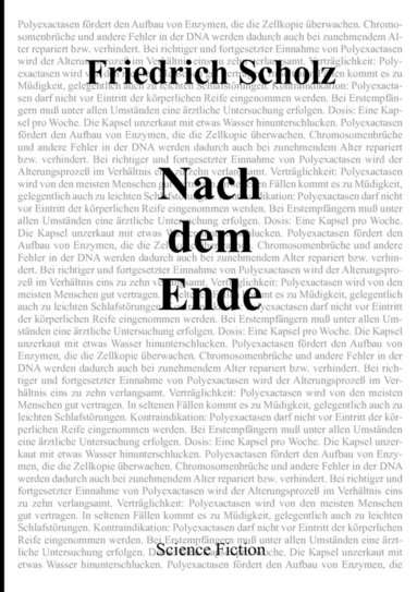 Friedrich Scholz - Nach dem Ende, Häftad