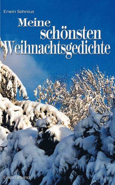 bokomslag Meine schnsten Weihnachtsgedichte