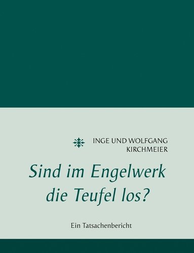 bokomslag Sind im Engelwerk die Teufel los?