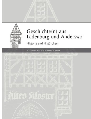 bokomslag Geschichten aus Ladenburg und Anderswo, Band 2