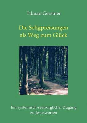 bokomslag Seligpreisungen als Weg zum Glück