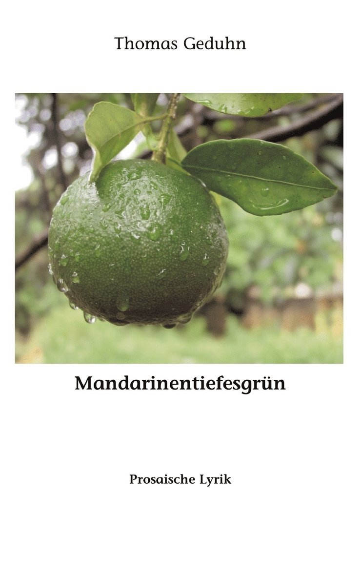 Mandarinentiefesgrn 1