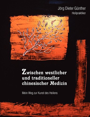 bokomslag Zwischen westlicher und traditioneller chinesischer Medizin