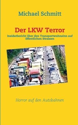 Michael Schmitt - LKW Terror, Häftad