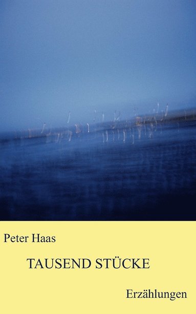 Peter Haas - Tausend Stücke, Häftad