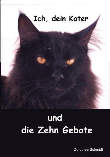 Dorothea Schmidt - Ich, dein Kater und die zehn Gebote, Häftad