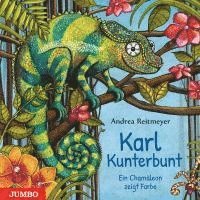 bokomslag Karl Kunterbunt