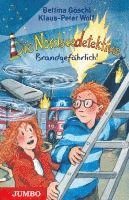 bokomslag Die Nordseedetektive 12. Brandgefährlich!