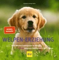 Welpen-Erziehung 1