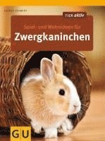 bokomslag Spiel- und Wohnideen für Zwergkaninchen