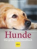 bokomslag Praxishandbuch Hunde