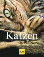 bokomslag Katzen. Das große Praxishandbuch