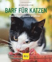 bokomslag BARF für Katzen