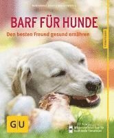 Marianne Kohtz-Walkemeyer - BARF für Hunde, Häftad