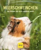 bokomslag Meerschweinchen