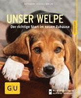 Unser Welpe 1