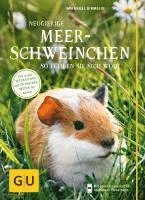 bokomslag Neugierige Meerschweinchen