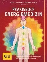 bokomslag Praxisbuch Energiemedizin