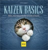 bokomslag Katzen-Basics