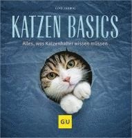 Katzen-Basics 1