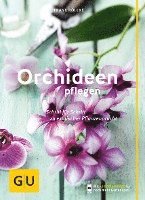 bokomslag Orchideen pflegen
