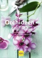 bokomslag Orchideen pflegen