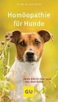 bokomslag Homöopathie für Hunde