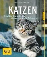 bokomslag Katzen