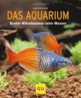 Axel Gutjahr - Das Aquarium, Häftad