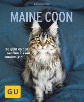 bokomslag Maine Coon