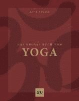 bokomslag Das große Buch vom Yoga