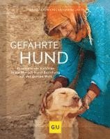 Gefährte Hund 1