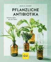 bokomslag Pflanzliche Antibiotika