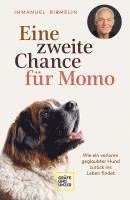 bokomslag Eine zweite Chance für Momo