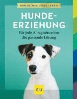 Hundeerziehung