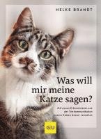 bokomslag Was will mir meine Katze sagen?