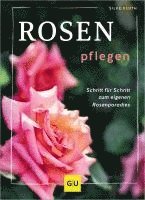 bokomslag Rosen pflegen