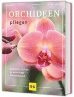 bokomslag Orchideen pflegen