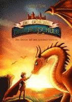 bokomslag Die geheime Drachenschule 2 - Der Drache mit den silbernen Hörnern